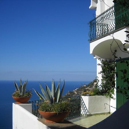 Le Cicale - Apartments Conca dei Marini Extérieur photo