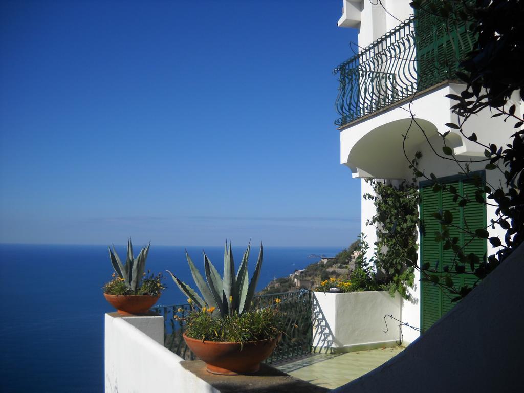 Le Cicale - Apartments Conca dei Marini Extérieur photo